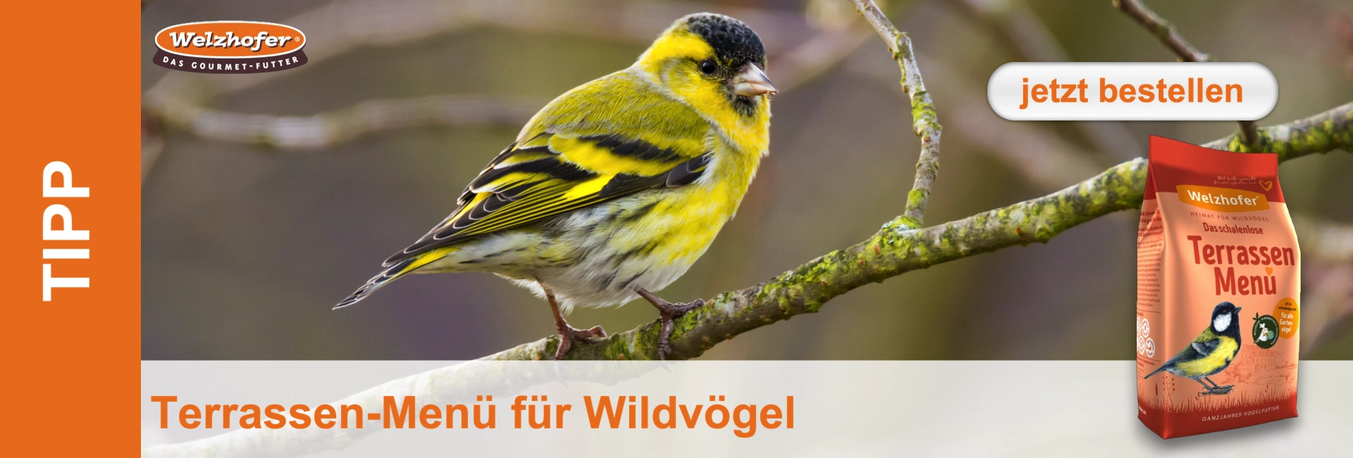 Wildvögel - Terrassen-Menue