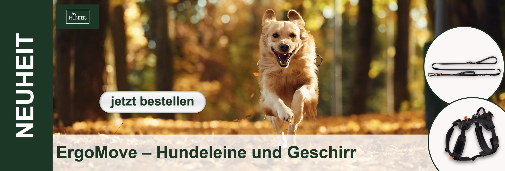 Neuer Banner