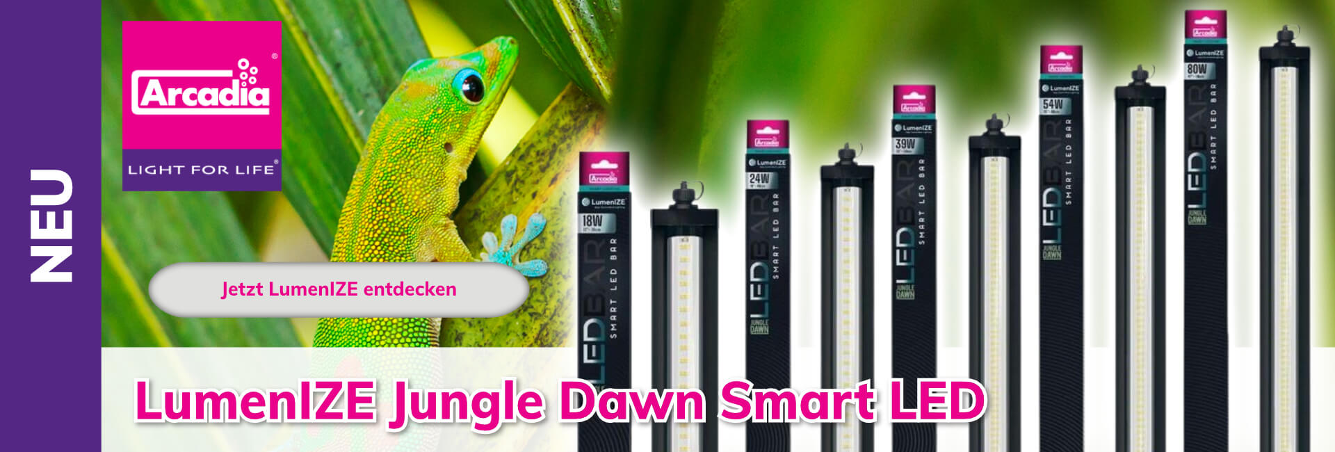 Terraristik Beleuchtung LED